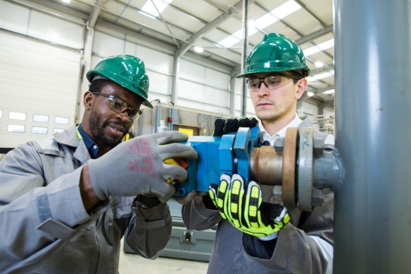 <p><strong><strong>System Support & Management</strong></strong></p>